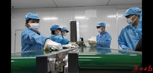 坚韧的防线 番禺区一家工厂日产口罩400万片，创新纪录背后的无名英雄